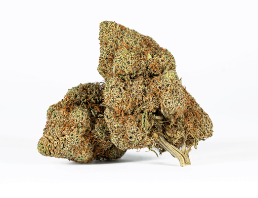 Astral Herbs – Variedad Apple Fritter