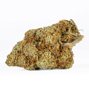 Astral Herbs – Variedad Apple Fritter