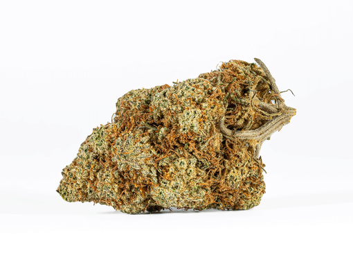 Astral Herbs – Variedad Apple Fritter