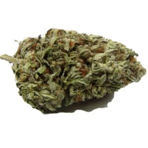 Blackberry Kush 20% de THC