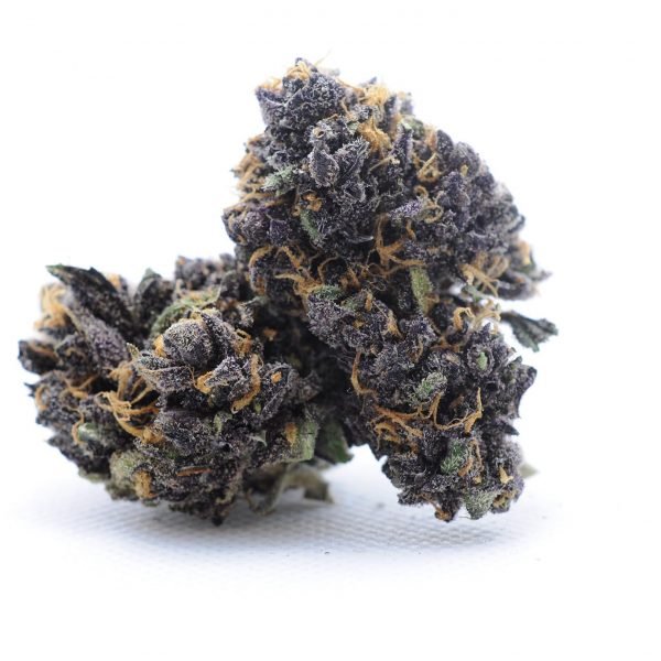 Cepa de marihuana Granddaddy Purple