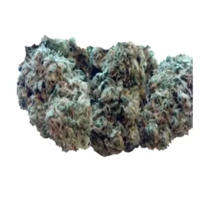 Cepa Candy Jack 27% de THC