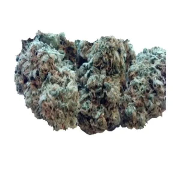 Cepa Candy Jack 27% de THC