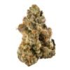 Cepa de marihuana Gelato