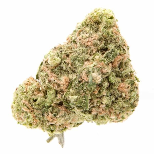 Cepa de marihuana Gelato