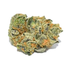 Cepa Girl Scout Cookies 28% de THC