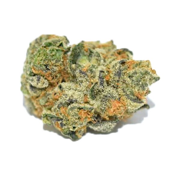Cepa Girl Scout Cookies 28% de THC