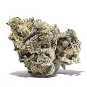 Cepa de cannabis Girl Scout Cookies (GSC)