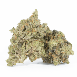 Legado de BC: Khalifa Kush