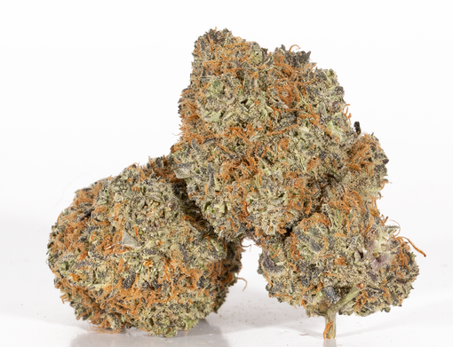 BC Legacy – Galletas de peyote
