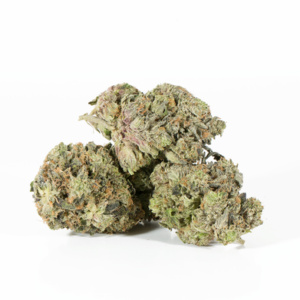 BC Legacy strain
