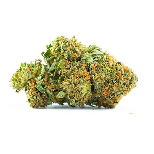 Cepa Platinum Girl Scout Cookies 18% – 26% de THC