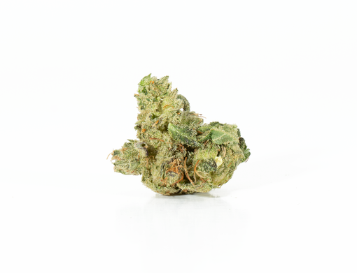 Cepa Primus OG