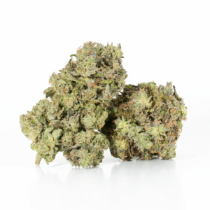 Cepa Primus OG