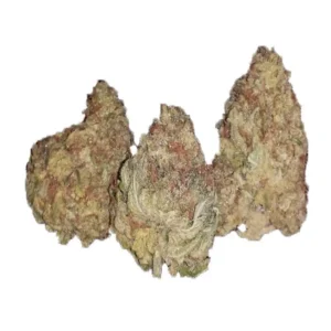 Cepa Super Silver Haze 18% – 23% de THC