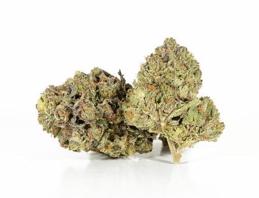 (Pequeñas) Atún Kush (AAAA)