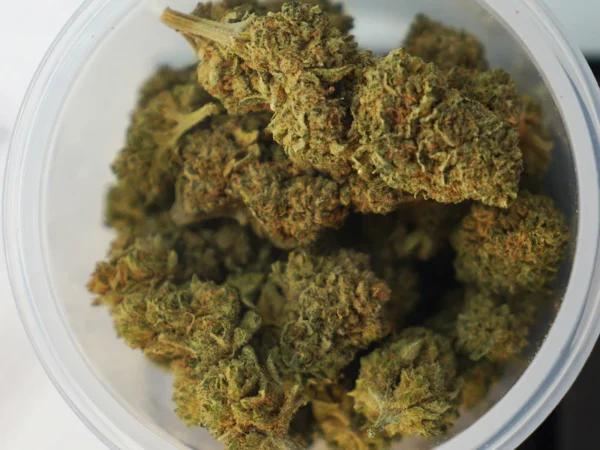comprar candy marihuana